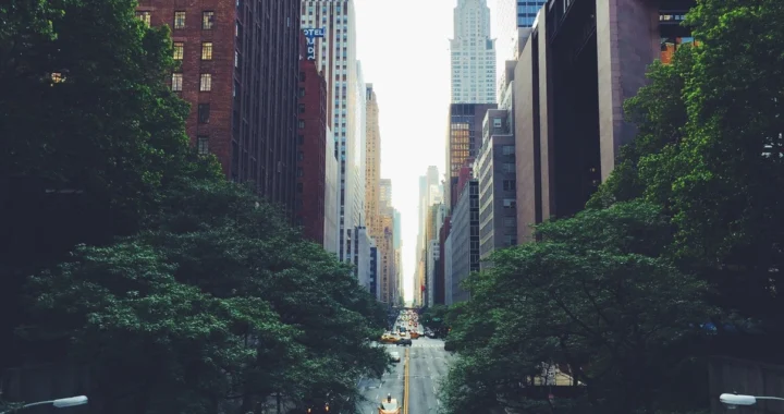 Metro city’s should make road with protection In mind